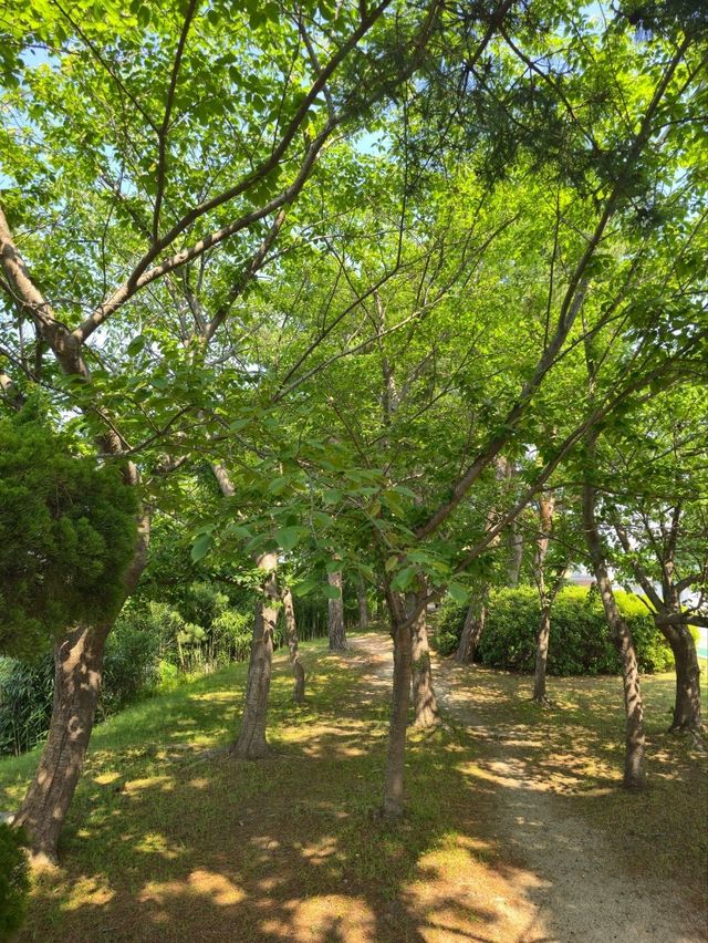 국내여행 속초의 거대호수 영랑호와 산책길