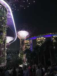  🌳 Garden by the Bay & Marina Bay