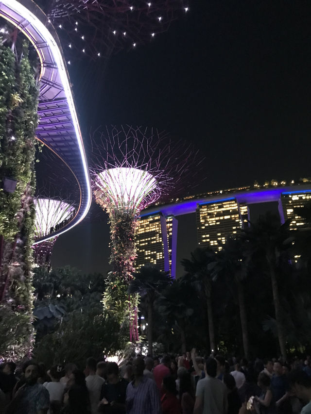  🌳 Garden by the Bay & Marina Bay