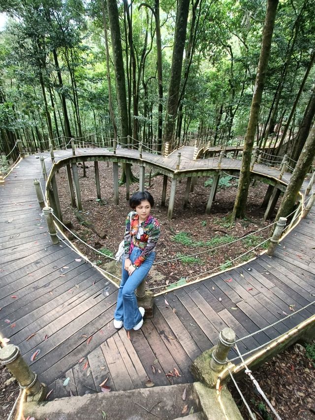 Feel with Indonesia Nature 🏞️