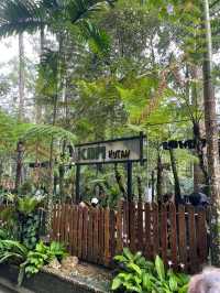 Above the City, Beneath the Trees: Explore The Habitat Penang Hill!