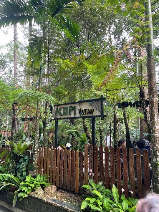 Above the City, Beneath the Trees: Explore The Habitat Penang Hill!