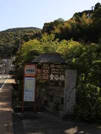 【静岡🇯🇵】下田で過ごすとある夏の1日☀️