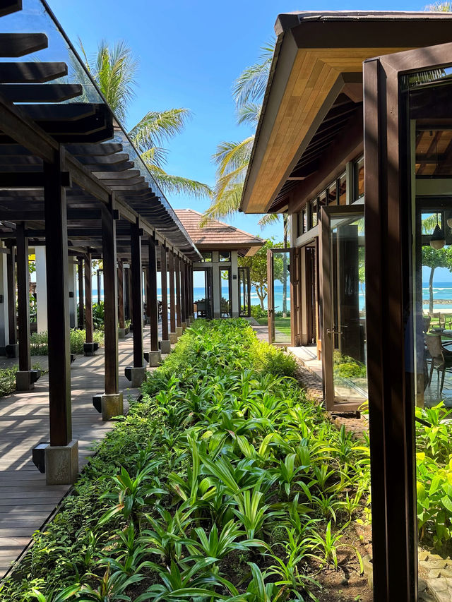 🛬🌴Bali