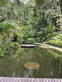 Spice Trails: A Journey Through Penang’s Botanical Wonderland