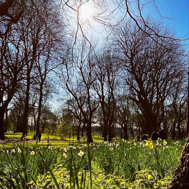 Whithworth park