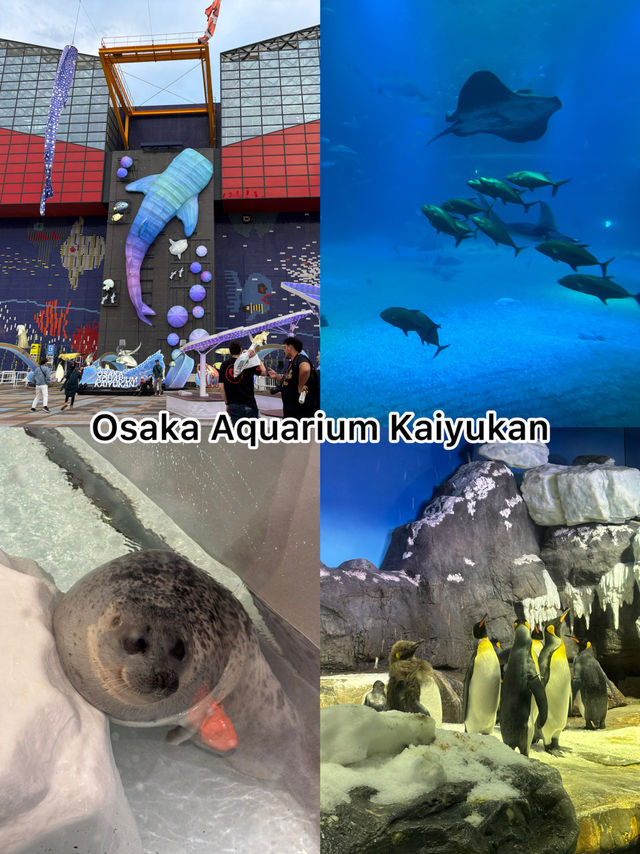 Osaka ครั้งแรกเที่ยวไหนดี?