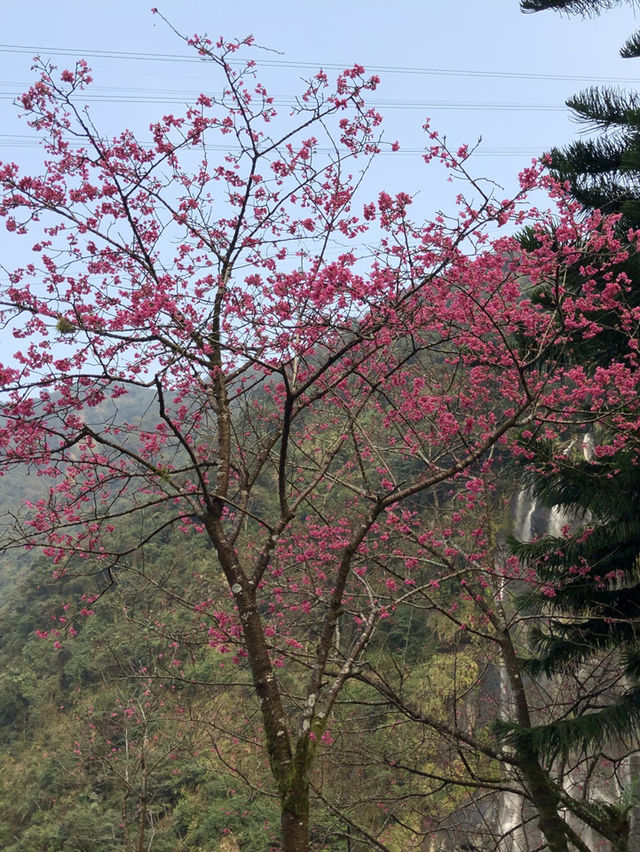 🧭 烏來雲仙樂園｜山林珠寶盒裡的纜車秘境