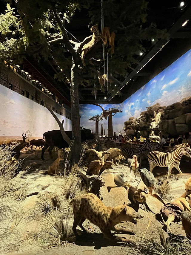 Shanghai Natural History Museum