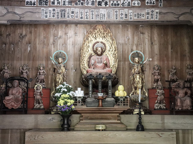 【神奈川県】 美しい鎌倉の奥座敷 花と水のお寺『海蔵寺』