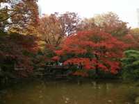 秋意盎然的都心秘境日比谷公園