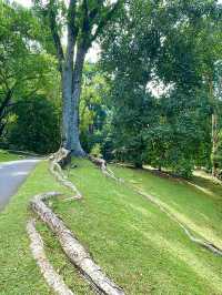 Peaceful spots to unwind and reconnect with nature 🌴🌳🌲👫😍