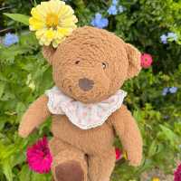คาเฟ่น่ารักๆ เขาค้อ 🧸🌼🌳