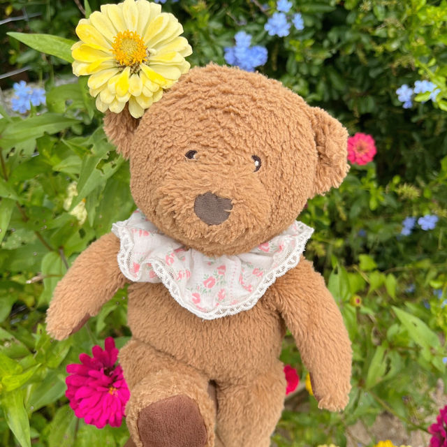 คาเฟ่น่ารักๆ เขาค้อ 🧸🌼🌳