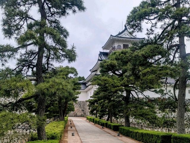 富山 | 富山城&城跡公園，瞭解富山鄉土歷史的好去處