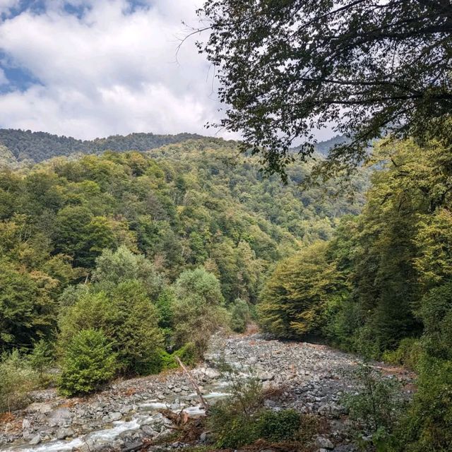 Forest Trails & Waterfall Feels