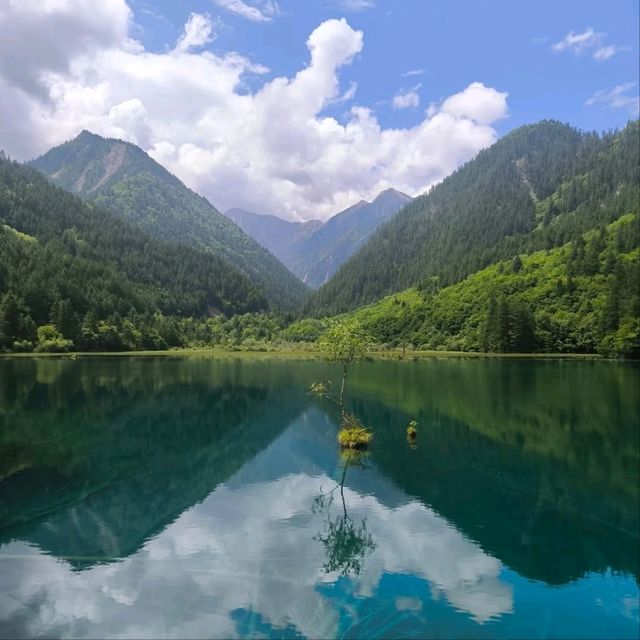 Fairy Tale Nature Vibes
