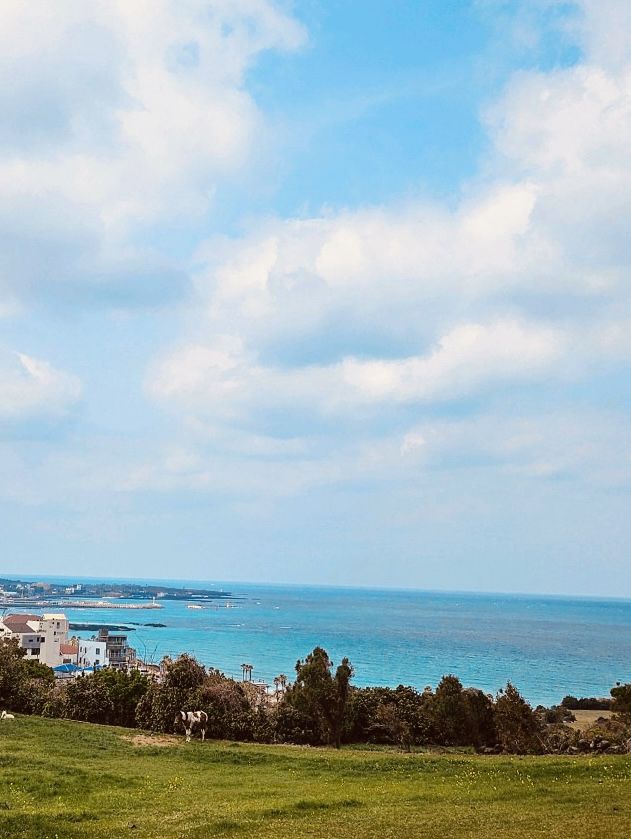 A Natural Balcony Overlooking Jeju's Eastern Coast