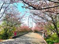 Spring waltz into Gucun Park