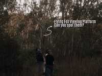 Walking to 5 Secret Hidden Spots in Melbourne