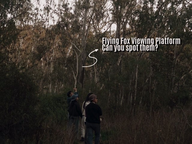 Walking to 5 Secret Hidden Spots in Melbourne