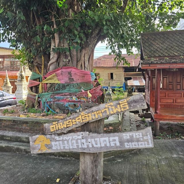 🌟ไหว้พระทำบุญ วัดศรีคุนเมือง | เชียงคาน🌟