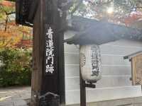【京都旅行】紅葉見るならここ！！🍁