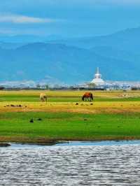 Breathtaking Bliss in Diqing