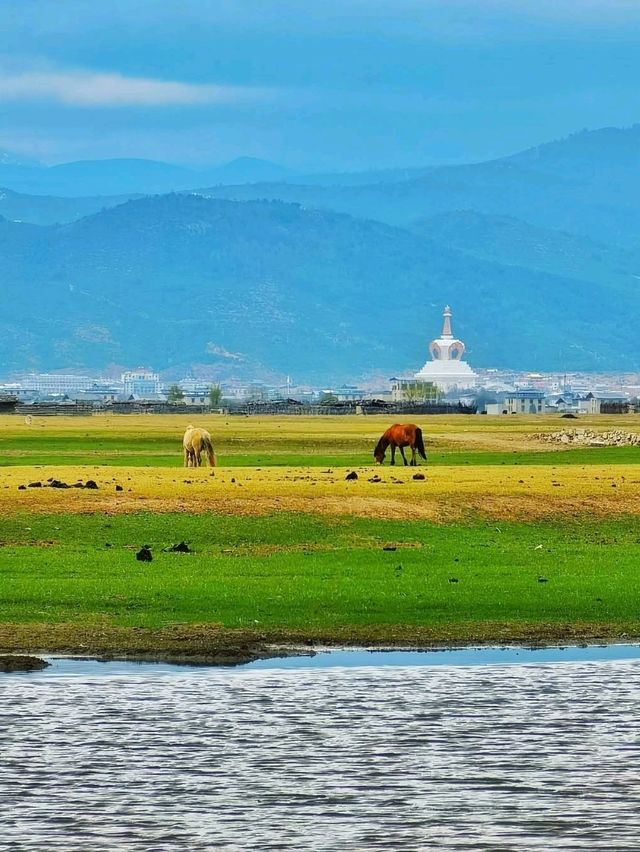 Breathtaking Bliss in Diqing