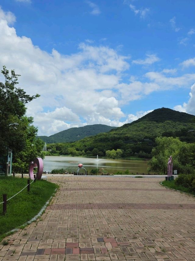 인천대공원의 여름
