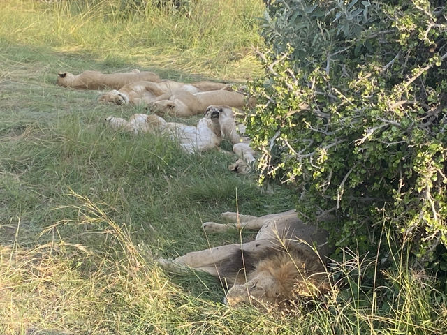 Kenya - Tanzania trip 2025 🇰🇪🇹🇿