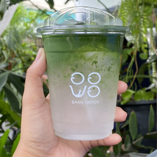 🍵“บ้านออพอ” คาเฟ่ลับที่คนรักมัทฉะต้องห้ามพลาด🌿