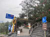 Khaoyai Art tree 