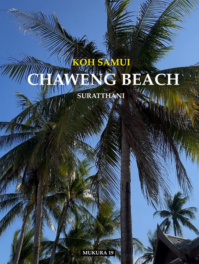 หาดเฉวง สวรรค์ของนักท่องเที่ยวบนเกาะสมุย