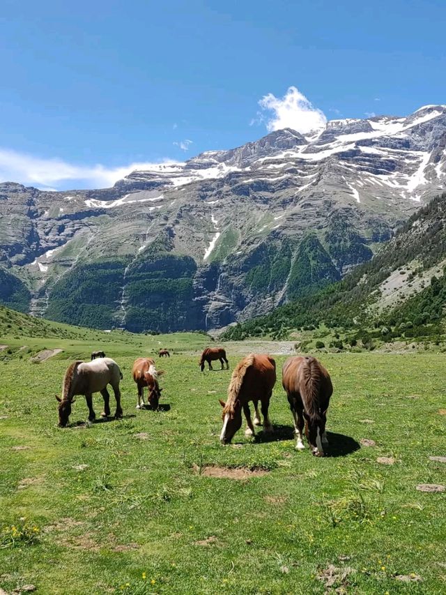 Nature Feels and Mountain Peace at Circo de La Larri