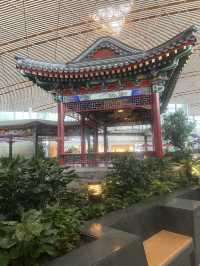 China: A Journey in Wonders & tradition 