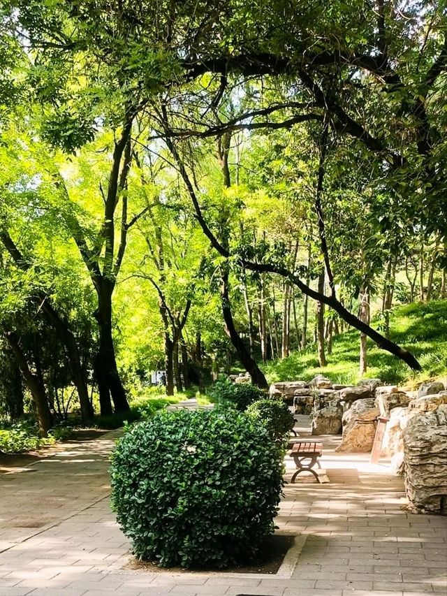 🌳 : Yuanmingyuan Park เที่ยวปักกิ่ง จีน