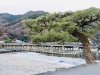 京都必去景點 伏見稻荷大社 嵐山 琉璃繪