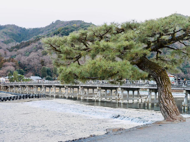 京都必去景點 伏見稻荷大社 嵐山 琉璃繪