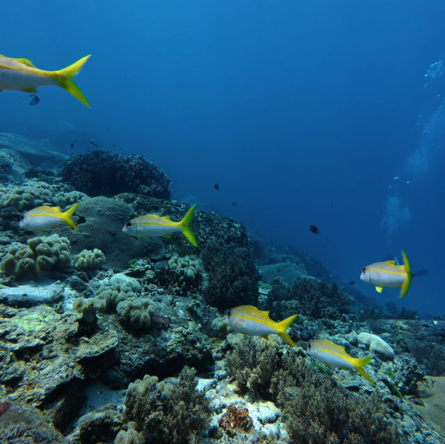 5D4N in Phuket @ $800 only (including flight+hotel+activities)
