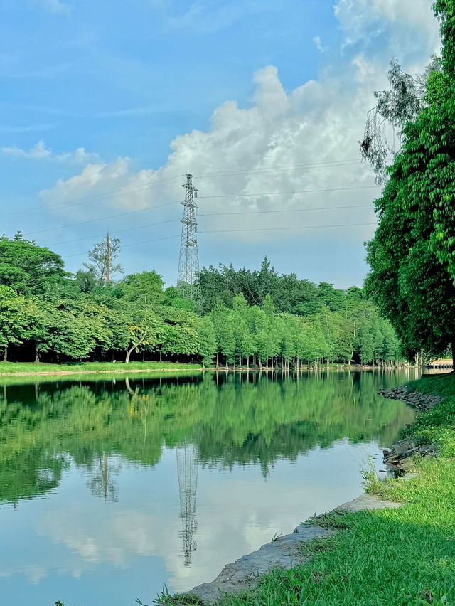 🌿Oxygen Day｜Step into a Miyazaki Summer in Guangzhou