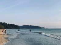 A Hidden Green Escape – Hutan Simpan Renggam Awaits