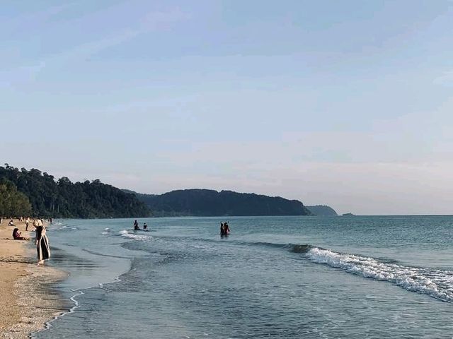 A Hidden Green Escape – Hutan Simpan Renggam Awaits