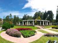 Bloom & Breathe: Explore the Hidden Garden Gem of MARDI Cameron Highlands!