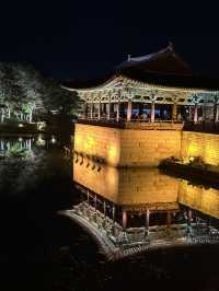 다들 경주 레츠꼬