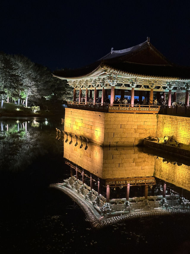 다들 경주 레츠꼬