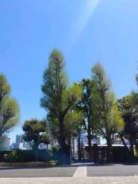 สุ่มเครื่องราง 東叡山寛永寺開山堂 Ueno park