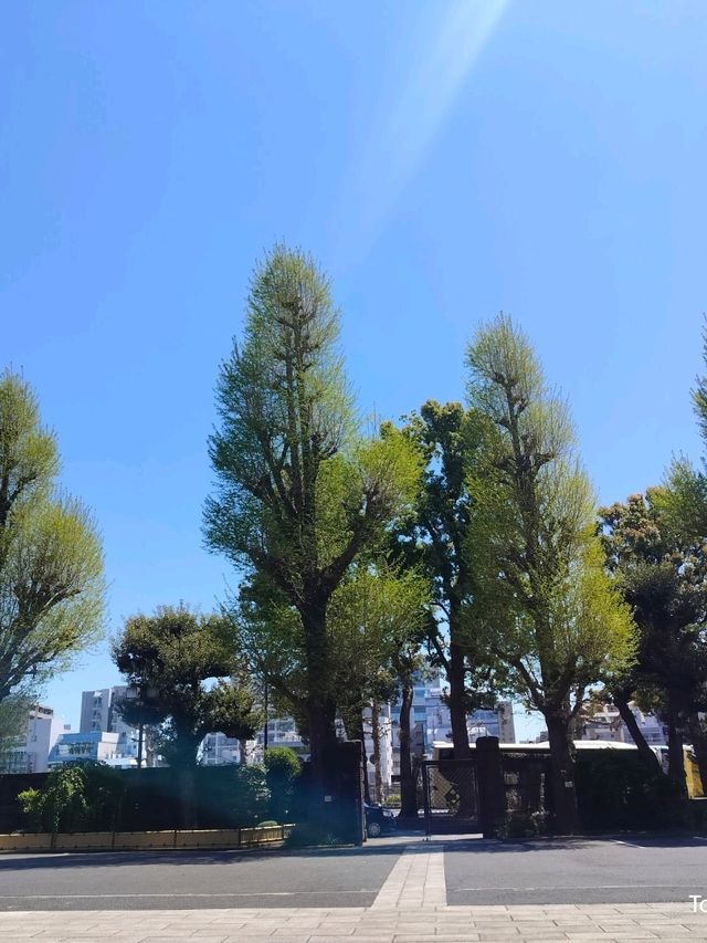 สุ่มเครื่องราง 東叡山寛永寺開山堂 Ueno park