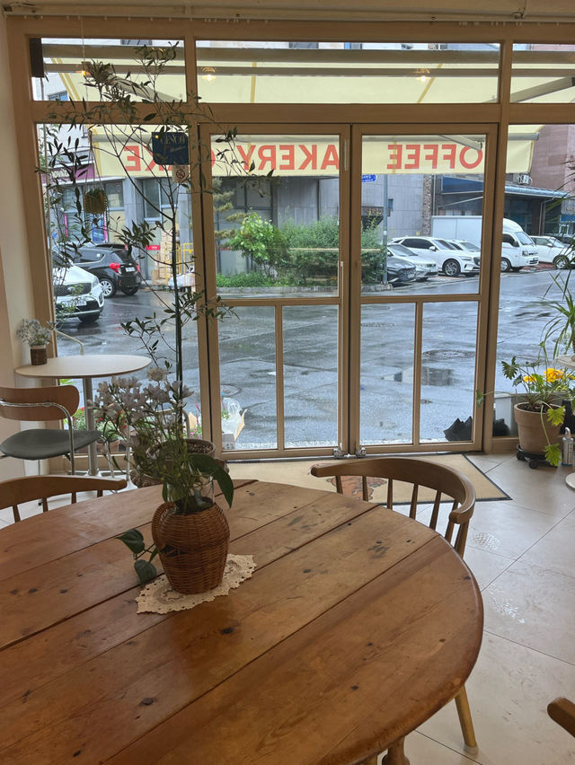 🌳💕대전 원신흥동 마마꿍 카페