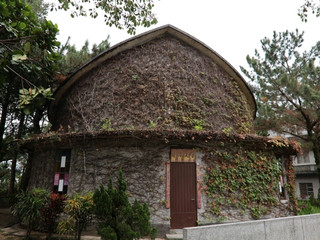 Xincheng Catholic Church: A Unique Blend of Faith and Culture